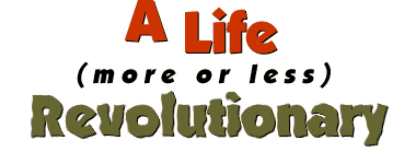 A Life (More or Less) Revolutionary