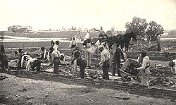 The Tusgegee Institute