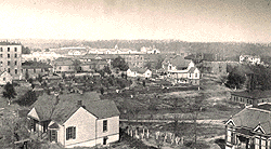 The Tusgegee Institute