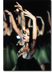 Sparkling, live Emeralds