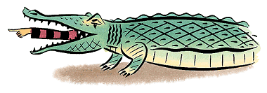 Illustrations by Michael Klein