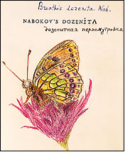 Illustration by Vladimir Nabokov