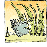 Illustration by Sergio Ruzzier