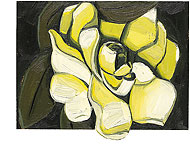 Illustration by Teri Sanders