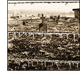 Photograph by Maggie Heinzel-Neel