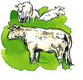 Illustration by James Noel Smith