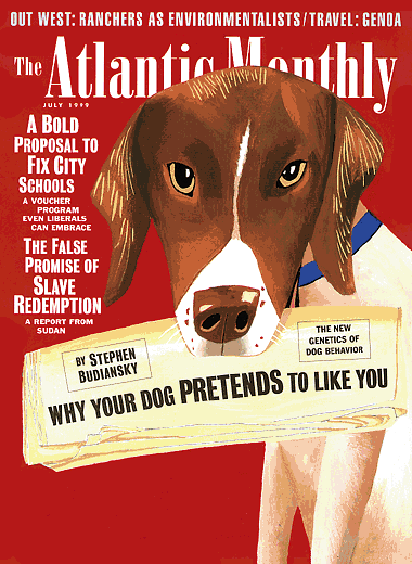 July 1999 Cover Art