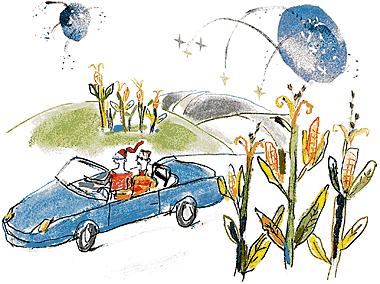 Illustration by Diane Bigda