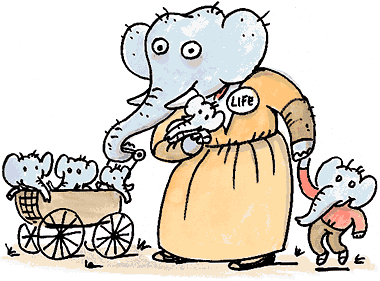 Right-to-life proponent