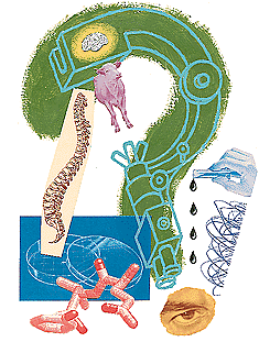 Cow-processing system