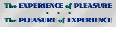 The Experience of Pleasure, The Pleasure of Experience