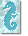 seahorse picture