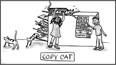Copy Cat