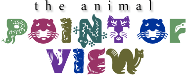 The Animal Point of View