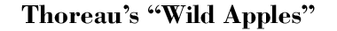 Thoreau's 'Wild Apples'